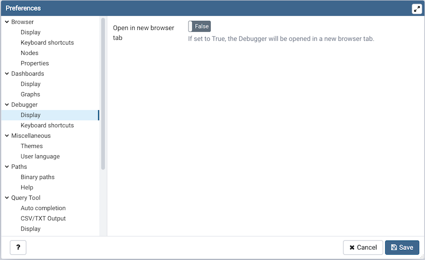 Preferences dialog debugger display options